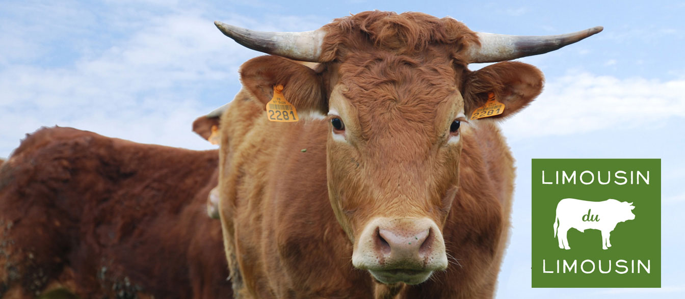 http://limousindulimousin.com/uploads//images/rund/valk-viande3.jpg